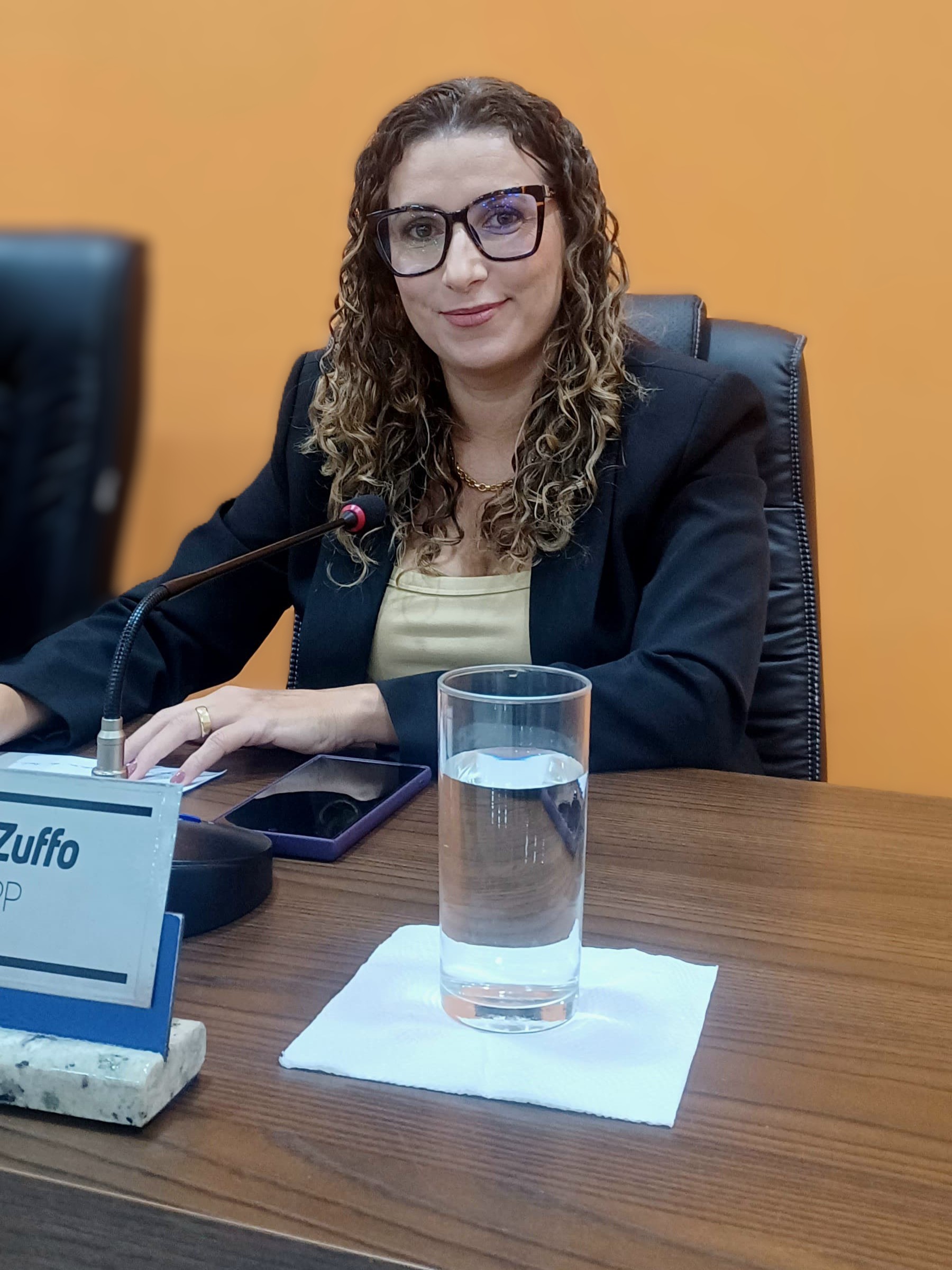 Vereadora Ilza Zuffo.jpg