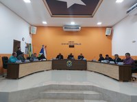 Câmara Municipal, Realizaram a 06º Sessão Extraordinária e Votaram o relatório das Contas de Gestão do Exercício Financeiro de 2020.