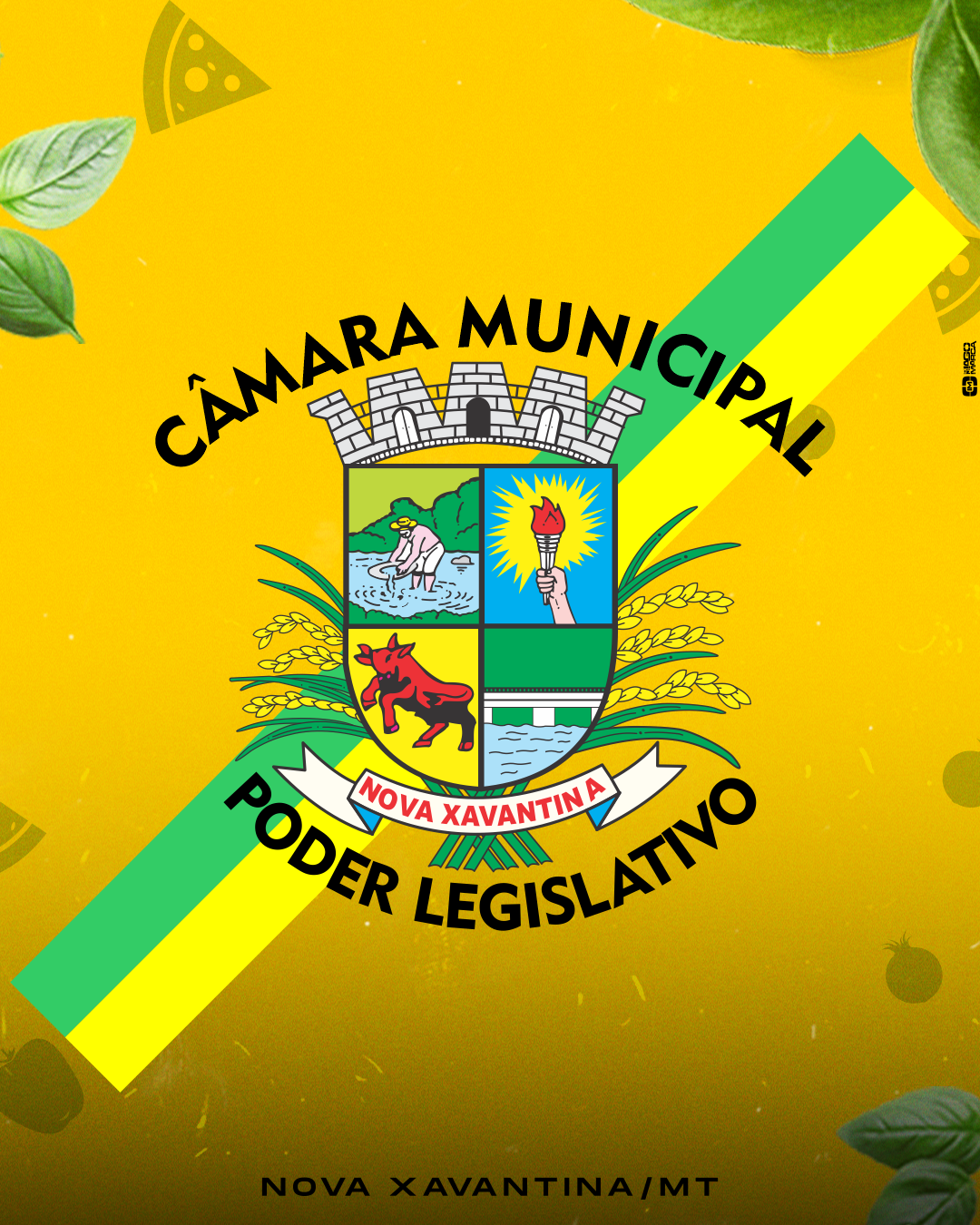 Câmara Municipal de Nova Xavantina-MT, retornaram às suas atividades neste ano de 2023.